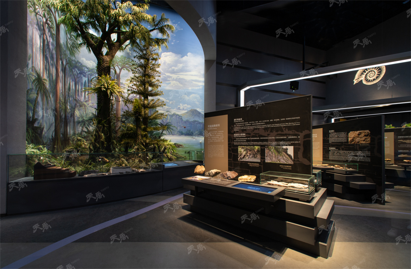 ���Ρ�����(�й�)���¹ٷ���վ