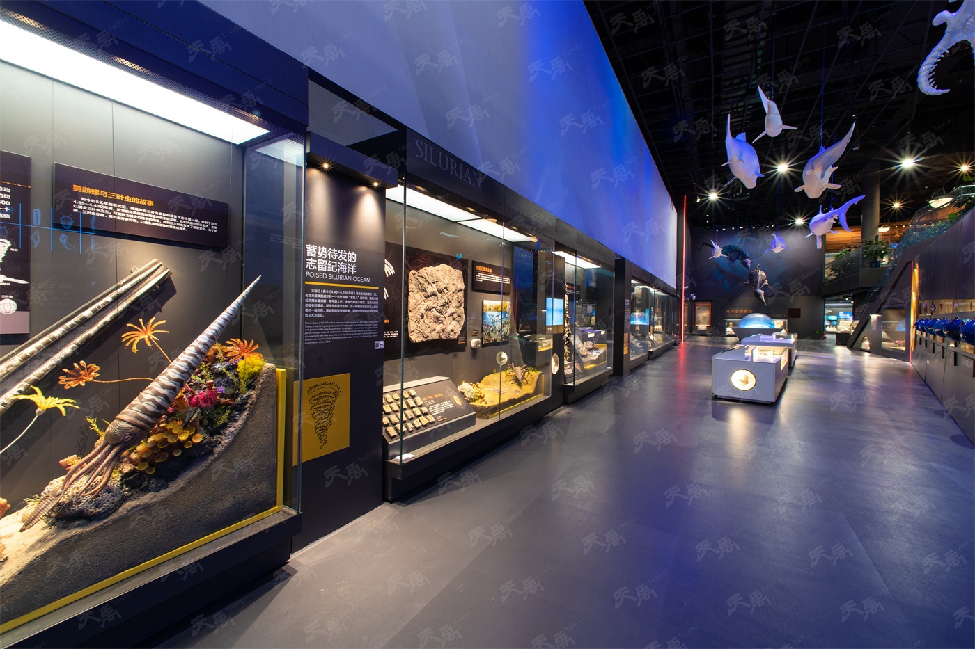 ���Ρ�����(�й�)���¹ٷ���վ