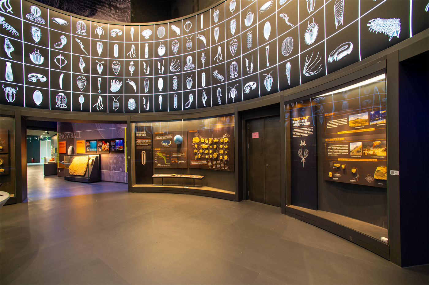 ���Ρ�����(�й�)���¹ٷ���վ