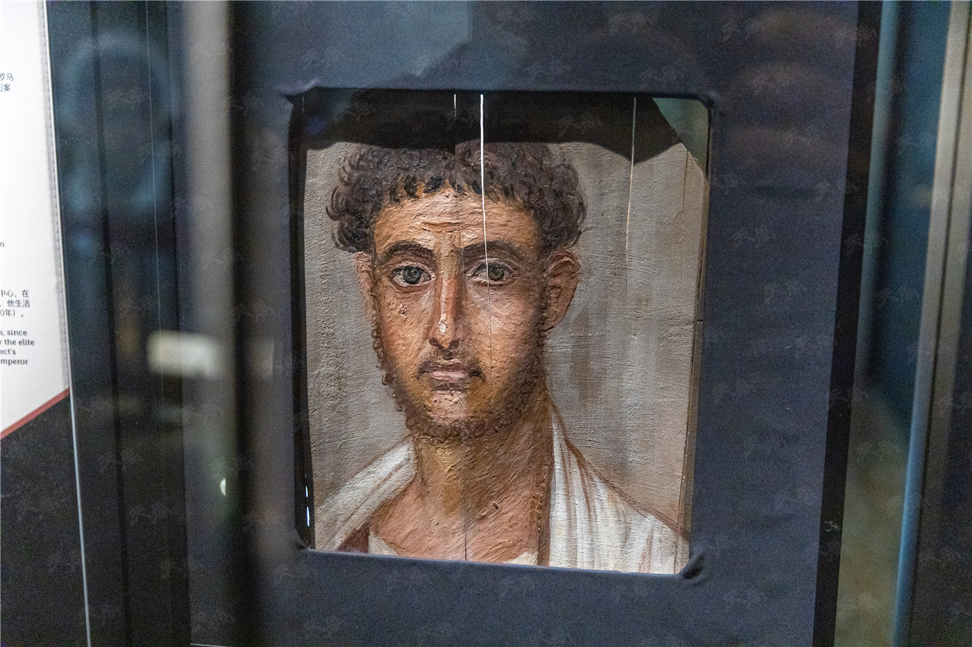 ���Ρ�����(�й�)���¹ٷ���վ