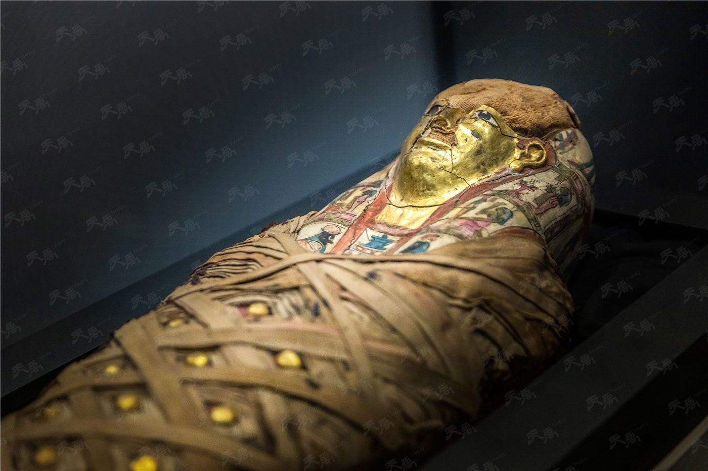 ���Ρ�����(�й�)���¹ٷ���վ